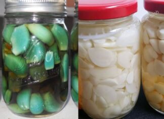 “The Secret to Perfectly Pickled Garlic: Avoiding the Green and Maintaining Crispness”