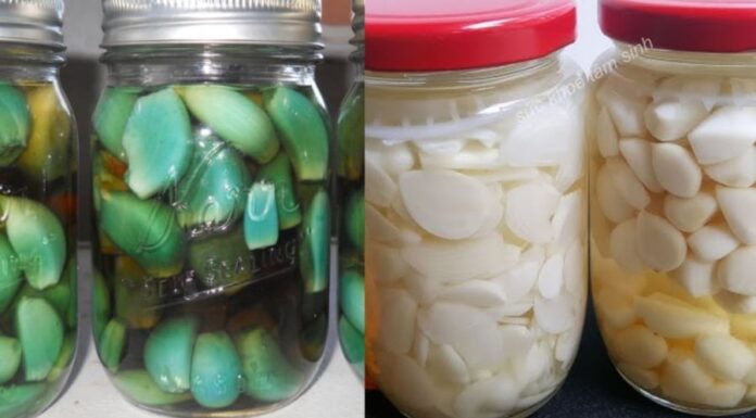 “The Secret to Perfectly Pickled Garlic: Avoiding the Green and Maintaining Crispness”