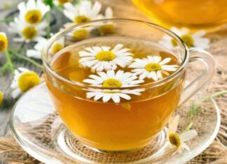 The Ultimate Nighttime Drinks: 4 Soothing Beverages for a Peaceful Slumber