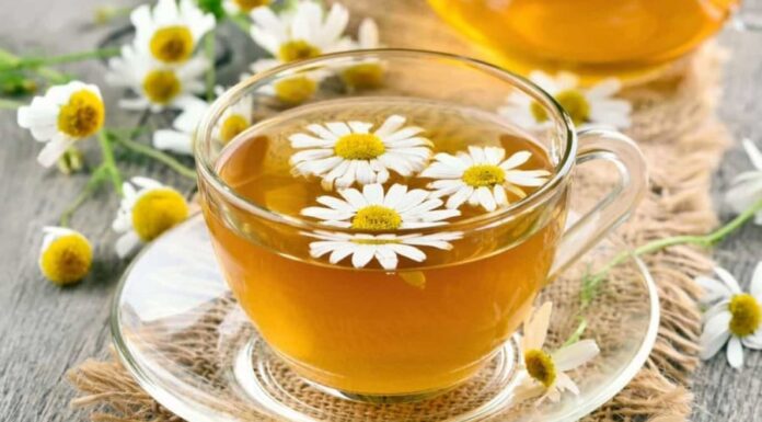 The Ultimate Nighttime Drinks: 4 Soothing Beverages for a Peaceful Slumber