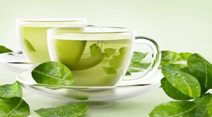 6 Herbal Teas to Lower Cholesterol, Support Effective Weight Loss, and Boost Your Health