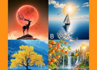 “Uncover Your Inner Landscape: A Psychological Quiz”