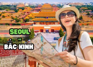 Should I Visit Seoul or Beijing on My First Overseas Trip?