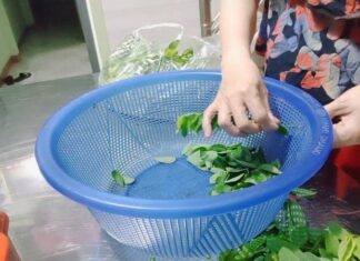 The Ultimate Superfood: Discover the Vegetable That Grows with Ease and Packs a Powerful Vitamin C Punch