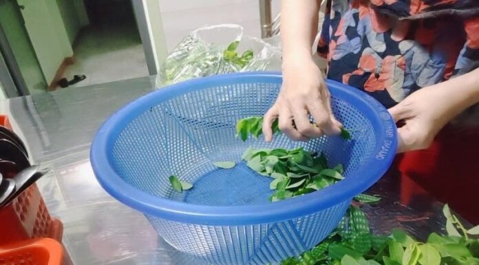 The Ultimate Superfood: Discover the Vegetable That Grows with Ease and Packs a Powerful Vitamin C Punch