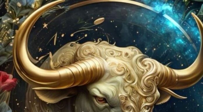 Wealthy Grand Luck for 5 Consecutive Years: Top 4-Year-Olds with Golden Touch for Prosperity