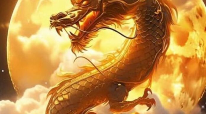 The Carp Transforms into a Dragon: Unlocking the Secrets to Wealth and Success.