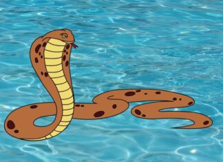 Wealthy Winter Wonders: 4 Ways to End the Year with a Bang and a Bank Full of Surprises