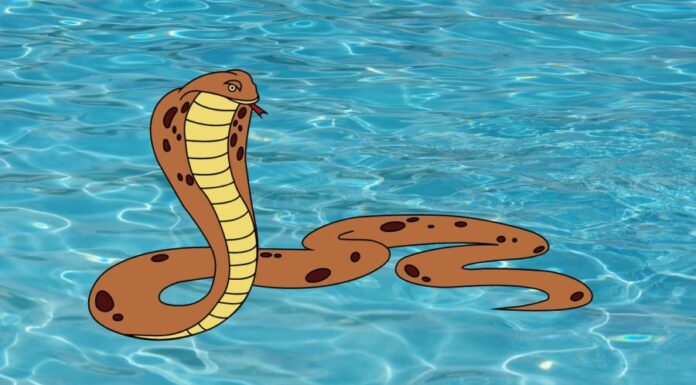 Wealthy Winter Wonders: 4 Ways to End the Year with a Bang and a Bank Full of Surprises