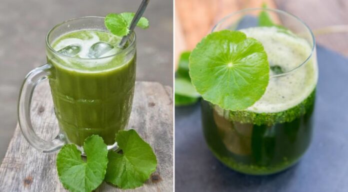 Is Drinking Gotu Kola Daily a Good Way to Stay Cool in the Summer?