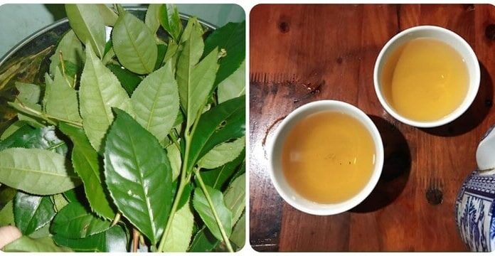 The Ultimate Liver-Cooling, Kidney-Boosting Beverage: Fortifying Your Body’s Defense Against Cancerous Cells.