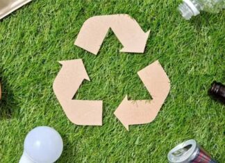 The Startling Truth About Non-Recyclable Items