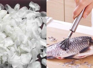 “Don’t Just Eat the Flesh: 3 Super-Nutritious Fish Parts That Are Often Discarded”