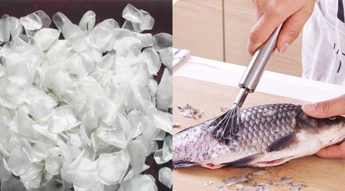 “Don’t Just Eat the Flesh: 3 Super-Nutritious Fish Parts That Are Often Discarded”