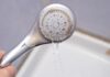 The Showerhead is Dirtier Than a Toilet: Expert’s Guide to 5 Easy Cleaning Methods