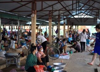 The Ultimate Guide to Sơn La’s Bizarre Market: How a Unique Trading Style Sells Out in Just 4 Hours Daily