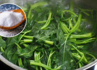 Why Does Adding Salt to Boiling Vegetables Keep Them Green and Bright?
