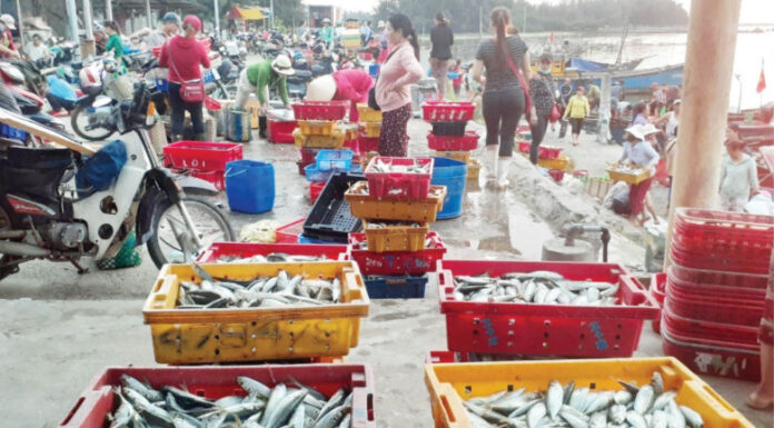 The Heart of Hue: A Country Market with a Twist.