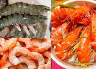 Is Shrimp Meat or Shell Richer in Calcium?