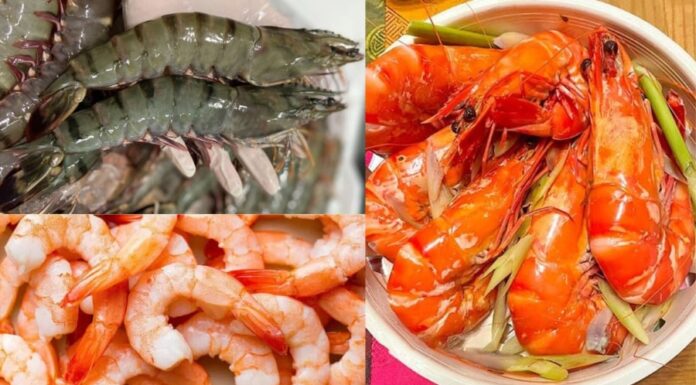 Is Shrimp Meat or Shell Richer in Calcium?