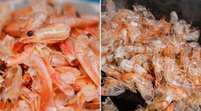 What’s in Shrimp Shells? Are They High in Calcium?