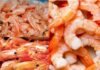 “The Great Calcium Debate: Shrimp Shells vs. Shrimp Meat – Are We Misguided About Feeding Our Children?”