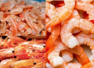 “The Great Calcium Debate: Shrimp Shells vs. Shrimp Meat – Are We Misguided About Feeding Our Children?”