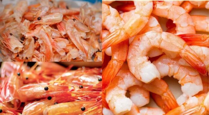 “The Great Calcium Debate: Shrimp Shells vs. Shrimp Meat – Are We Misguided About Feeding Our Children?”