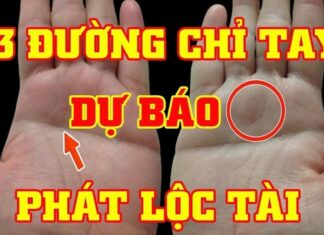 Palmistry: Unveiling the Secrets of Success and Wealth