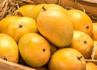 Those Who Should Avoid Eating Mangoes