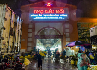 Exploring the Largest Wholesale Market in Thanh Hoa: A Foodie’s Paradise