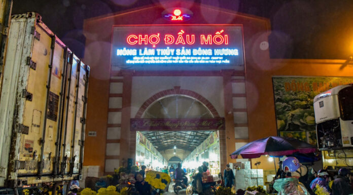 Exploring the Largest Wholesale Market in Thanh Hoa: A Foodie’s Paradise