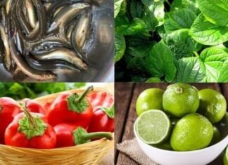 “The Powerhouse Root: A Natural Wonder for Men’s Health”