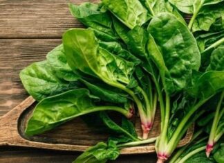 The Humble Vegetable: A Nutritional Powerhouse Crowned by an American Expert as the ‘King of Blood Enrichment’