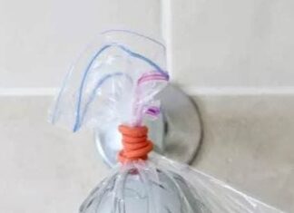 “Dirty, Smelly Bathroom? Revitalize It with These 4 Effective Cleaning Tips”