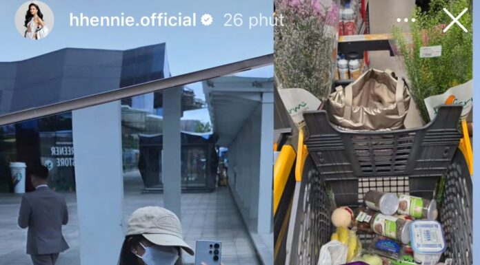 A Stylish Day with H’Hen Niê: From Casual Mom to Red Carpet Stunner