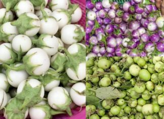 3 Bad Habits That Turn Eggplants From Superfood to Super-toxic: Uncover the Right Way to Enjoy This Delicious Veggie