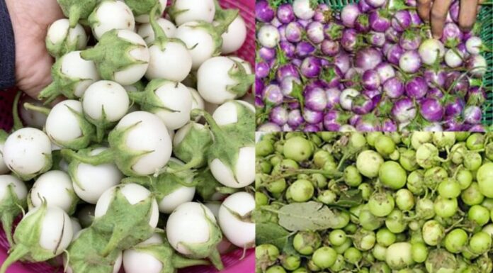 3 Bad Habits That Turn Eggplants From Superfood to Super-toxic: Uncover the Right Way to Enjoy This Delicious Veggie