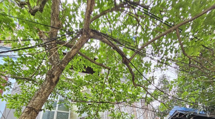 ‘Feast in Nam Dinh on a Budget of Less Than 300,000 VND’