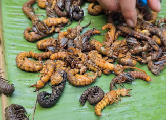 3 Dishes That Will Make You Brave the North for a Taste