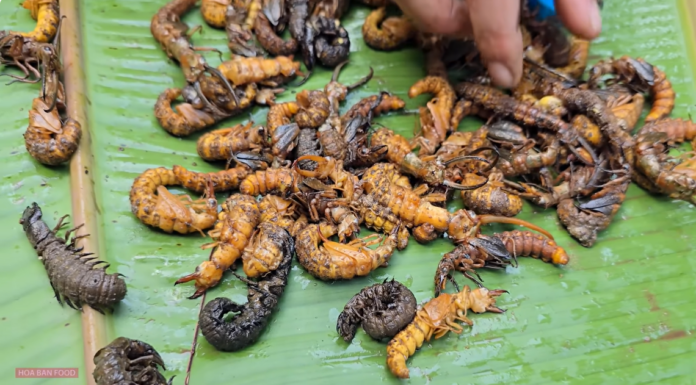 3 Dishes That Will Make You Brave the North for a Taste