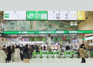 48 Hours of Shopping and Culinary Delights in Tokyo