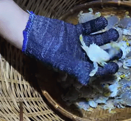 The Tasty Treasures of Quang Ngai: A Culinary Adventure by the Sea