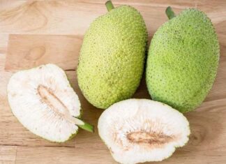 The Ultimate Superfood: Discover the Inexpensive Fruit in Vietnam That Rivals Ginseng and Bird’s Nest in Nutritional Value.