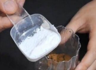 “Get Rid of Those Pesky Mosquitoes: An Effective DIY Mosquito Trap for a Bug-Free Summer”