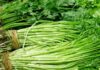 3 Popular Vegetables Loved by the Vietnamese but Prone to ‘Parasitic’ Contamination, with the Top Contender Posing a Serious Threat