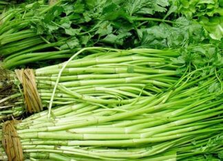 3 Popular Vegetables Loved by the Vietnamese but Prone to ‘Parasitic’ Contamination, with the Top Contender Posing a Serious Threat