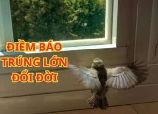 Ancestral Blessings: 3 Birds Bring Wealth and Prosperity, Lottery Luck and a Fortuitous Future.