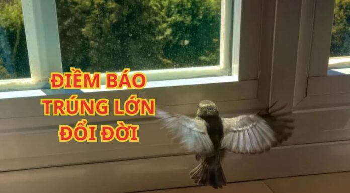 Ancestral Blessings: 3 Birds Bring Wealth and Prosperity, Lottery Luck and a Fortuitous Future.