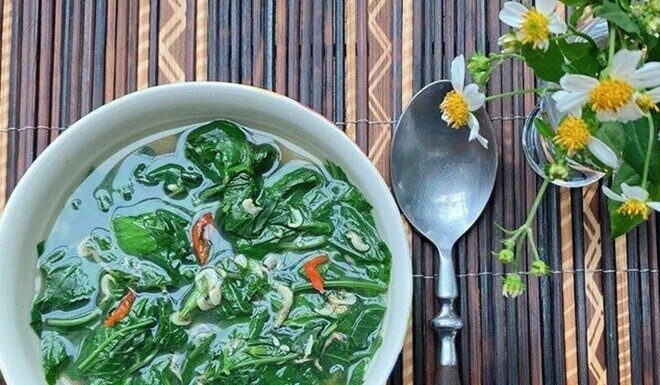 3 Wild Edible Weeds That Are Nutritional Powerhouses Hiding in Plain Sight